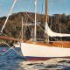 repair-restoration-vindilis-harrison-butler.jpg